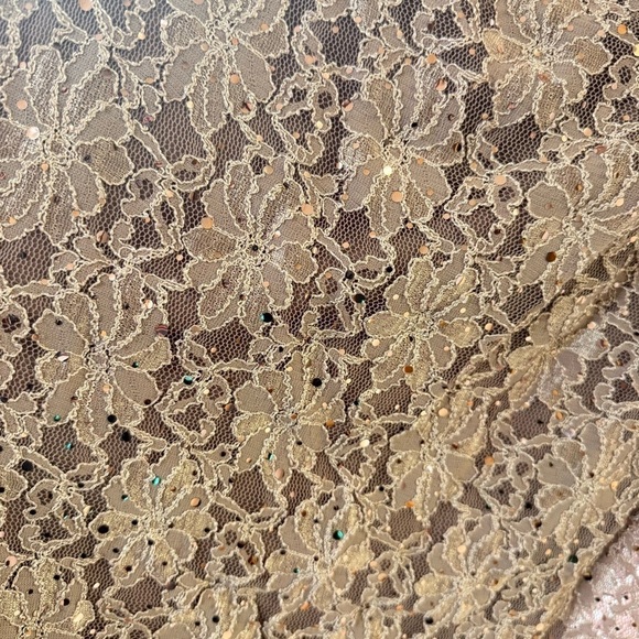 Dusty Rose Wood Connected Petite Sequin Lace Cape Gown 6P - Picture 4 of 6